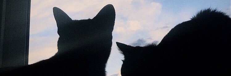 neriarza1's profile banner image