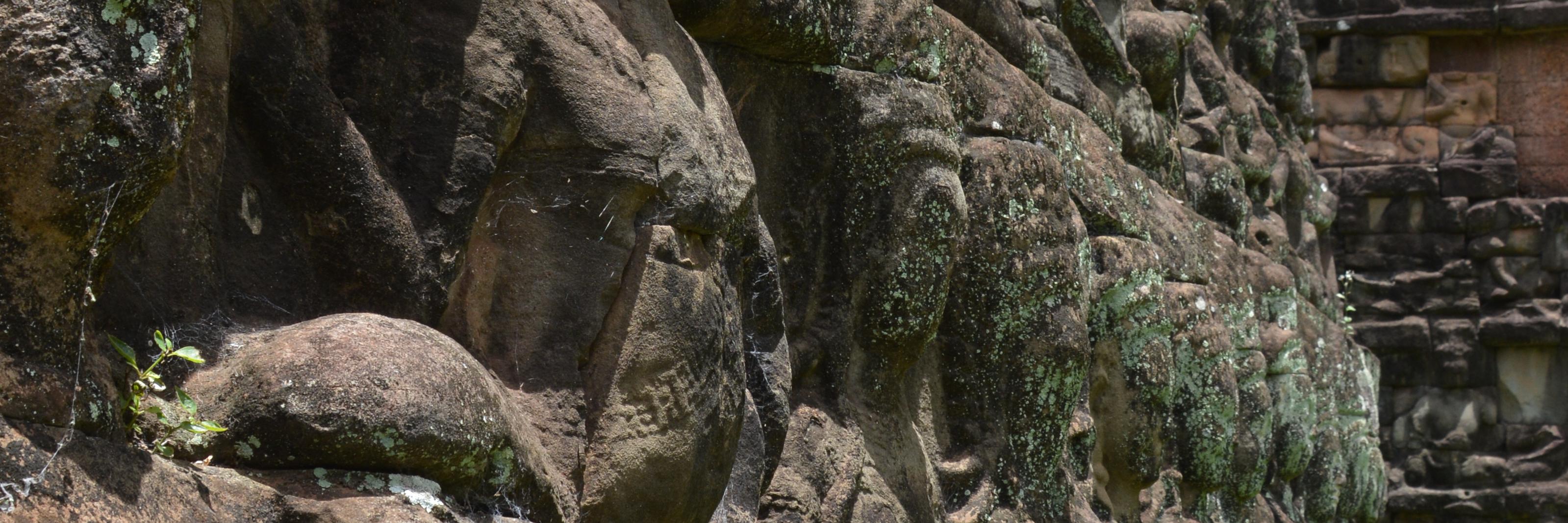 Dr.Larissa Rodriguez banner