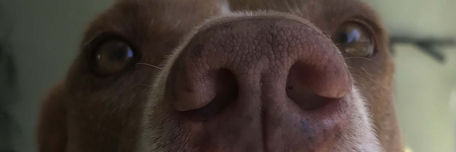 dujrab's profile banner image