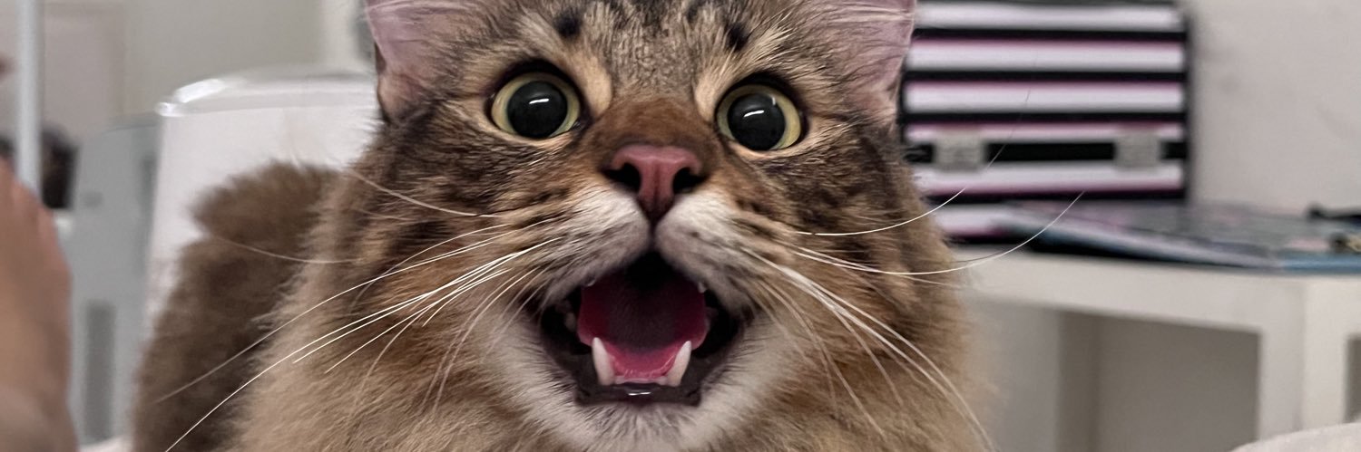 siladikesined's profile banner image