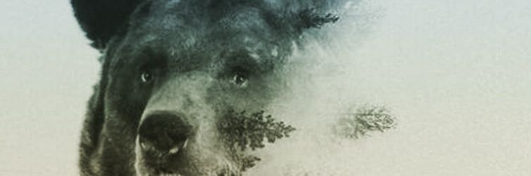 4_vella's profile banner image