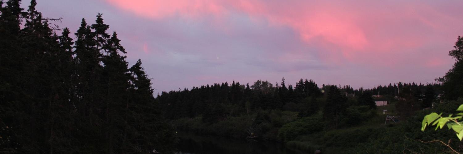 deniseapps's profile banner image