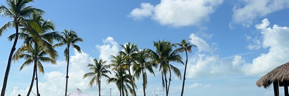karlsgray's profile banner image