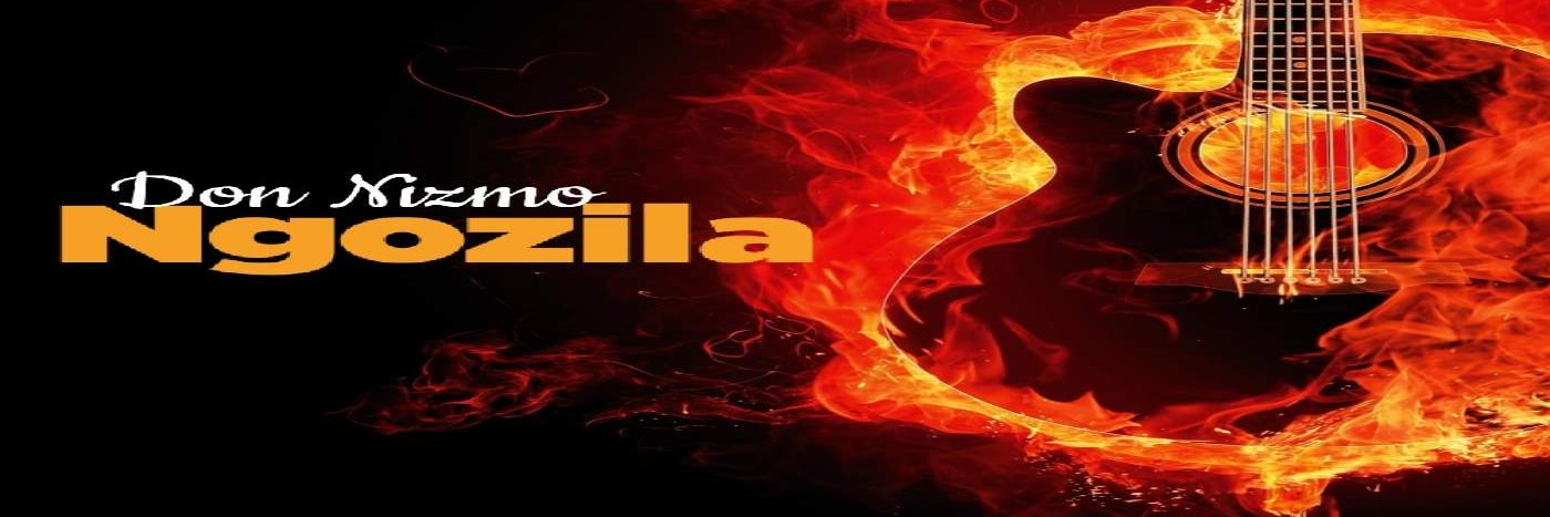 DonNizmo's profile banner image