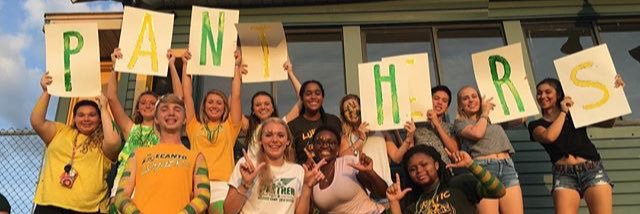 Lecanto Lunatics banner