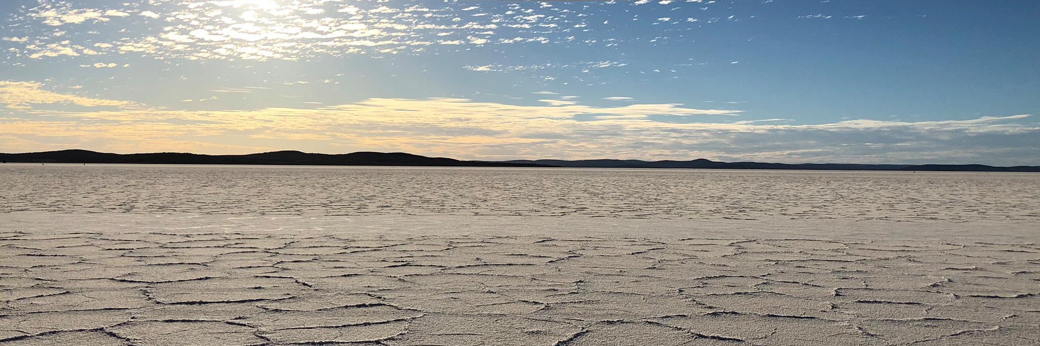 Susan Brander banner