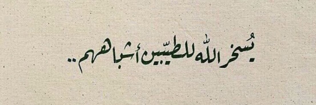 مشعل السور banner