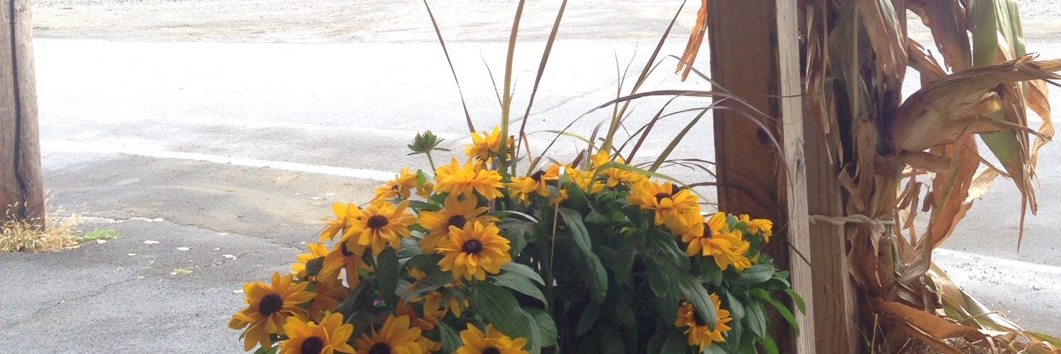 RiverviewStuy's profile banner image