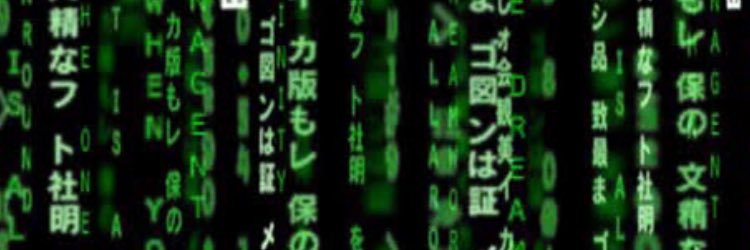 onecalledSTZY's profile banner image