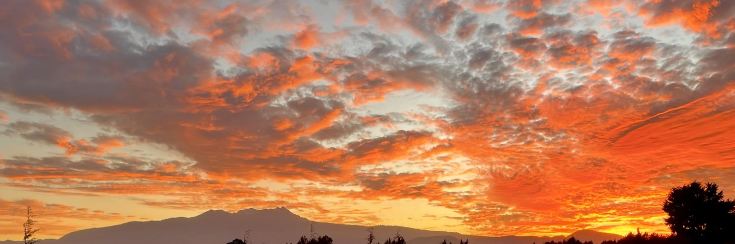 David Lopez Cardenas banner