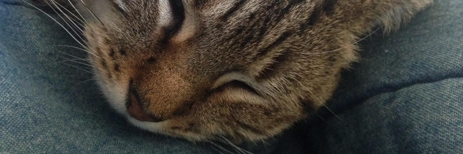 Patrol_Kitty's profile banner image
