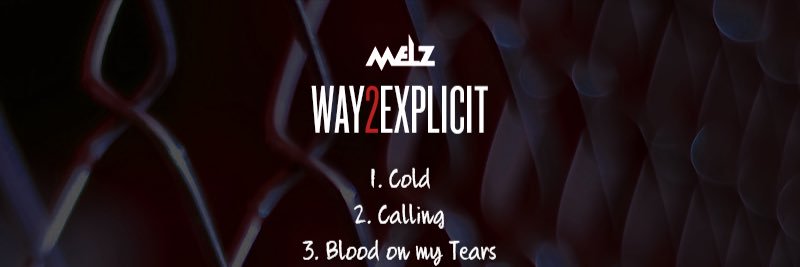 MELZ banner