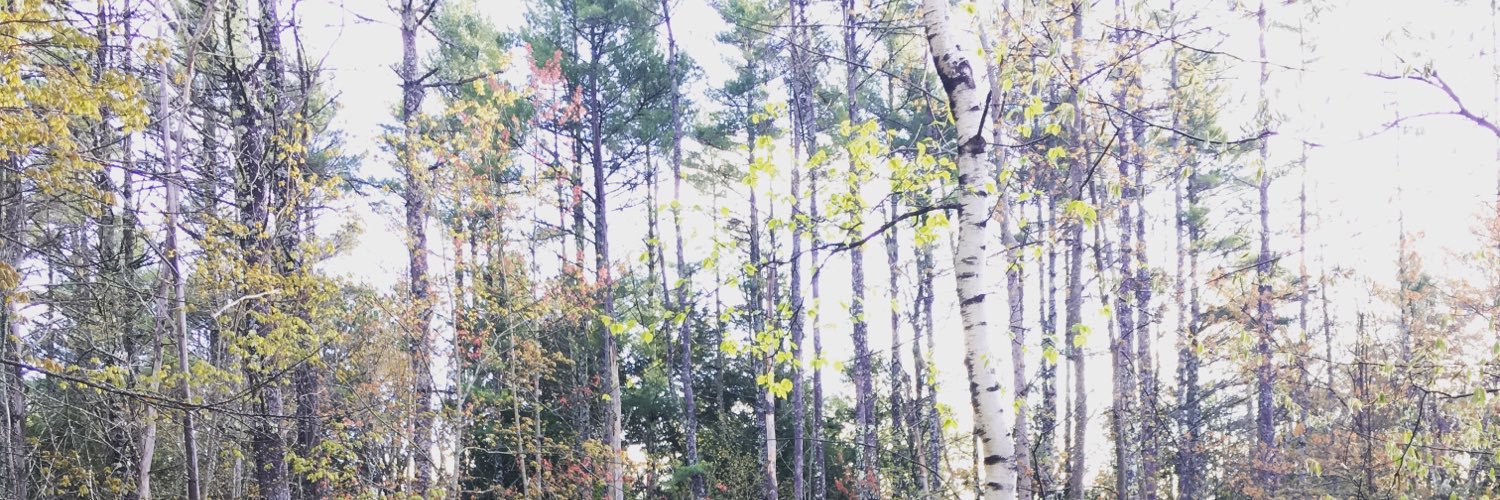 reganspinz's profile banner image