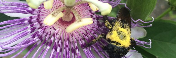 nick_batora Profile Banner