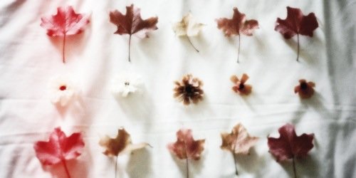 CGrimmieRAF's profile banner image