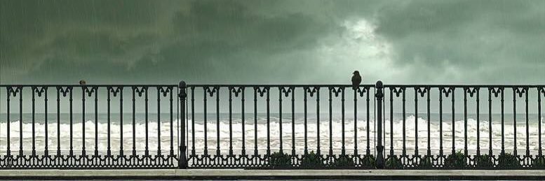 Respice Finem banner