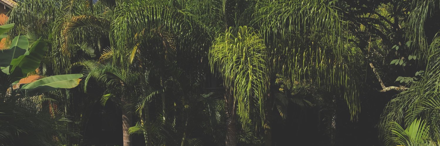 ariadnaespeche's profile banner image