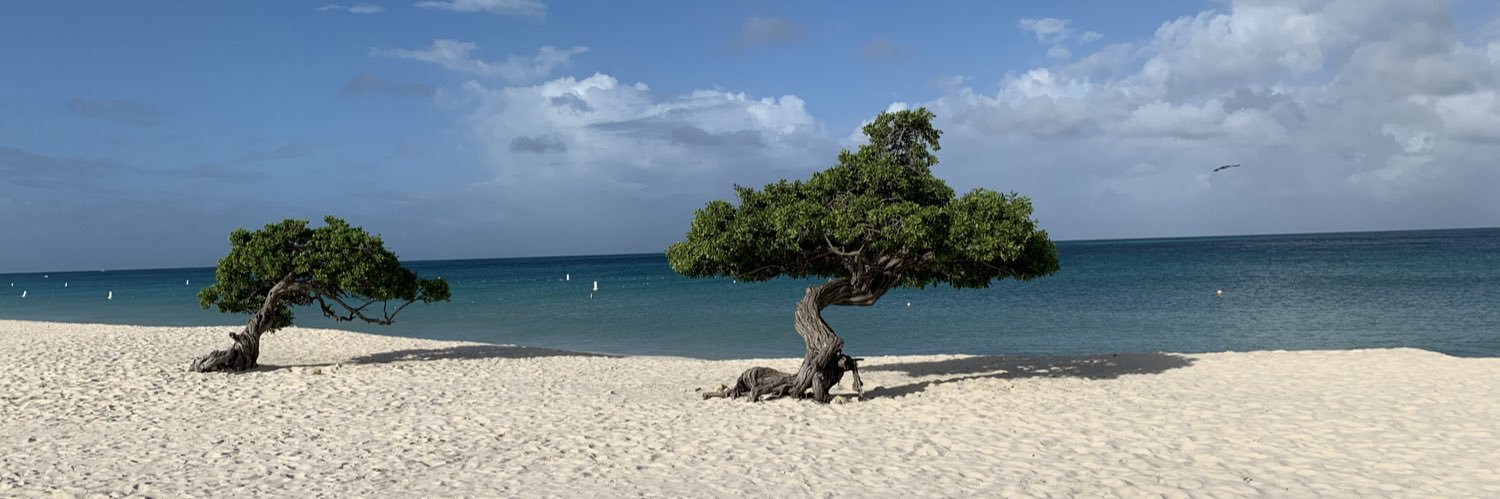 Alita van Keulen-Roelofs banner