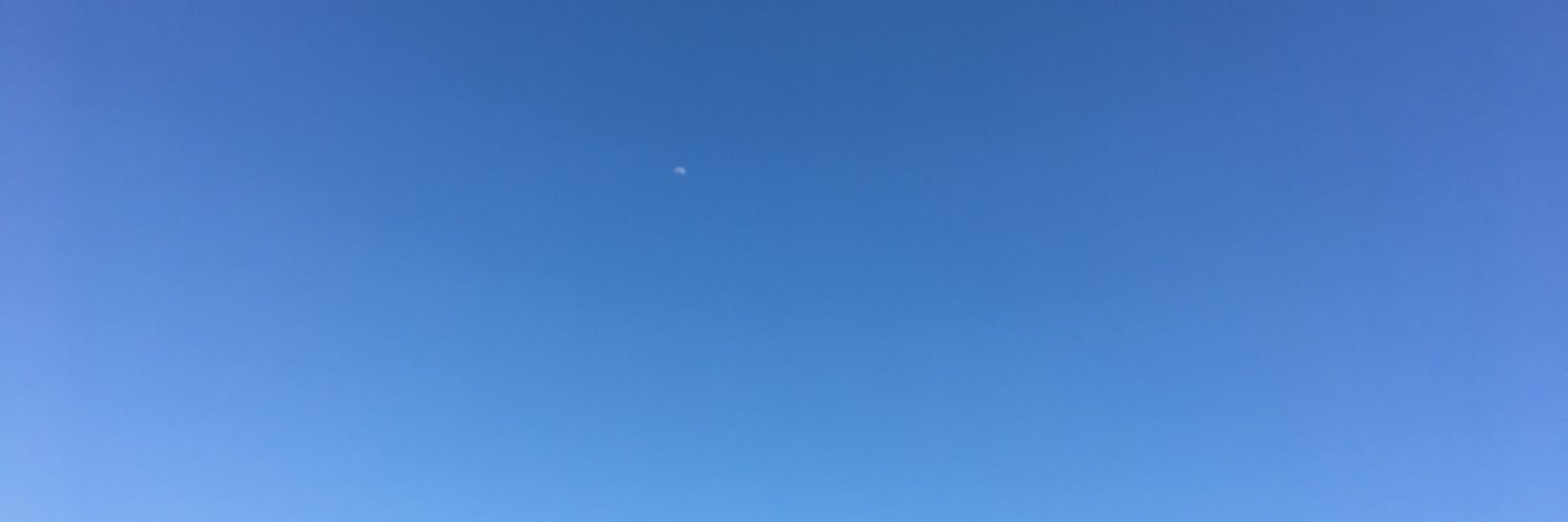 mnribeiro_77's profile banner image