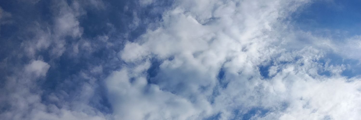 cnthayssa's profile banner image
