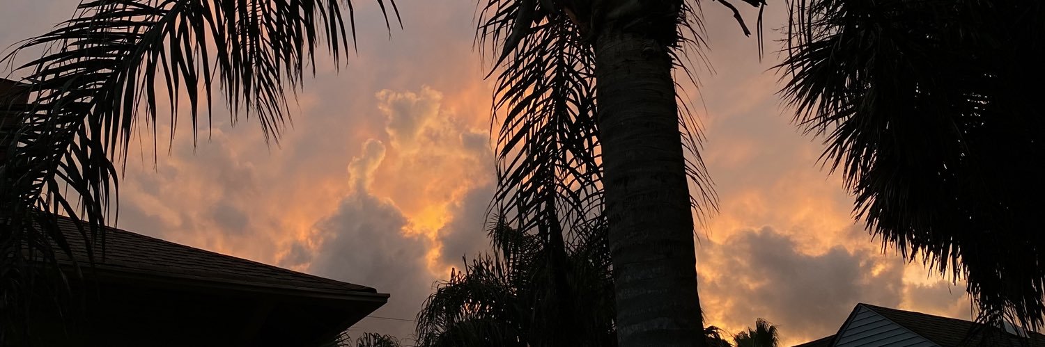alyyssah's profile banner image