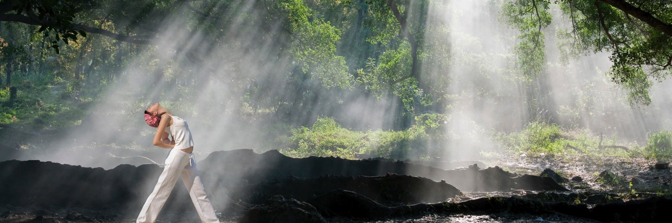 HumanRestorationProj banner