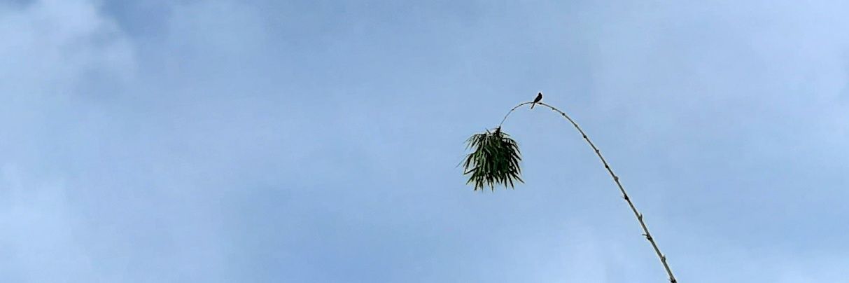 mathikurrahman's profile banner image