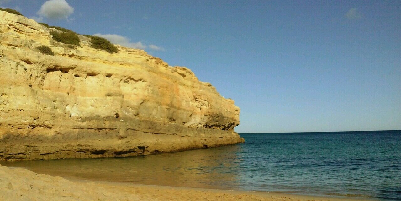 Patri_Larga's profile banner image