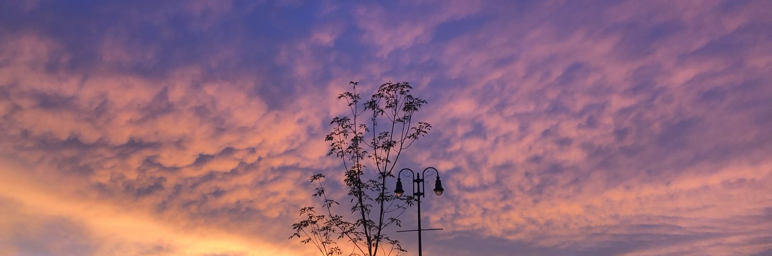 arrocabet's profile banner image