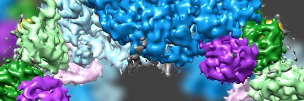 TishShute Profile Banner
