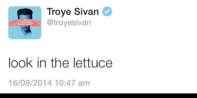 troyeslettuce's profile banner image