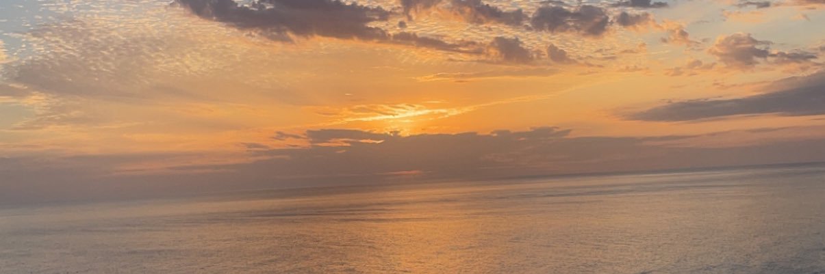 marayapello's profile banner image