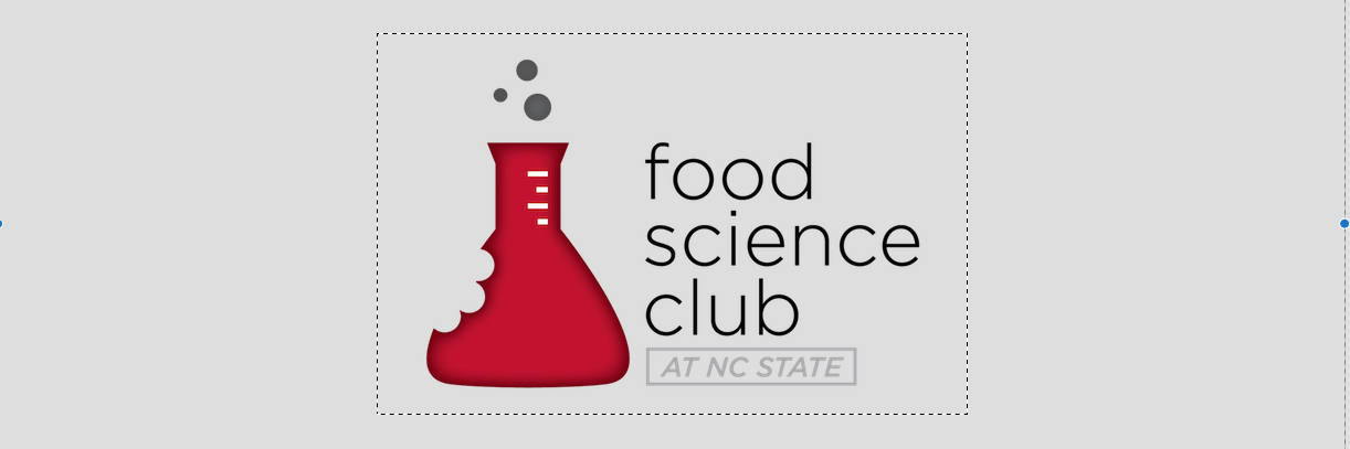 ncsu_fsc's profile banner image