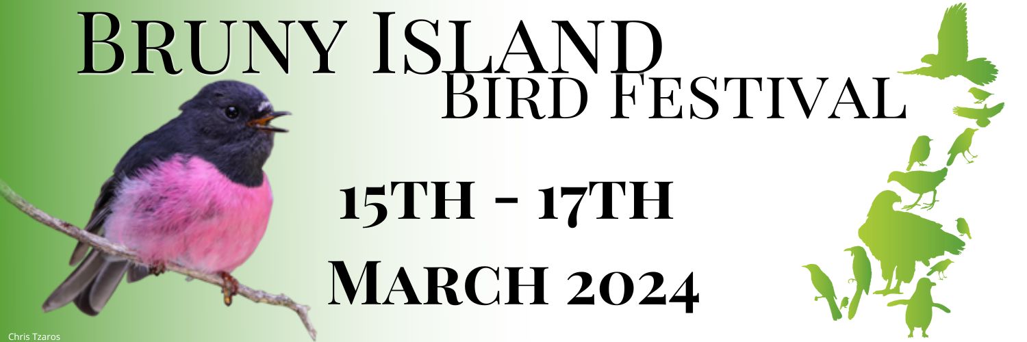 Bruny Island Bird Festival banner
