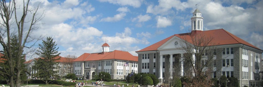 berritrey's profile banner image