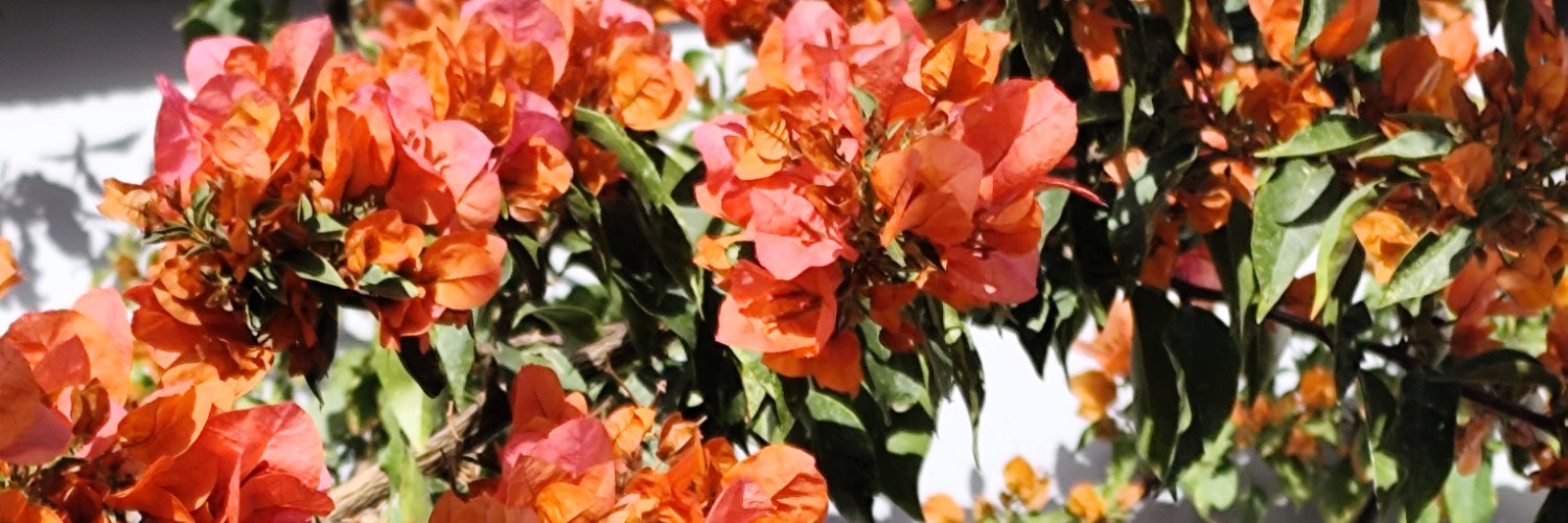 CrayolaVioleta's profile banner image