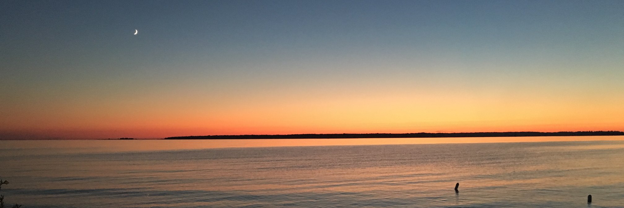 Kelly Harrison banner