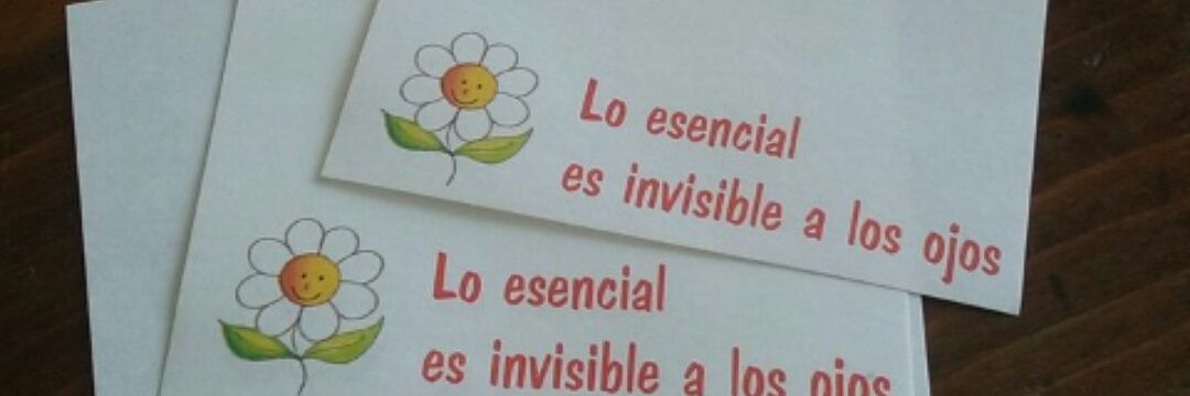 mdiversidaduy's profile banner image