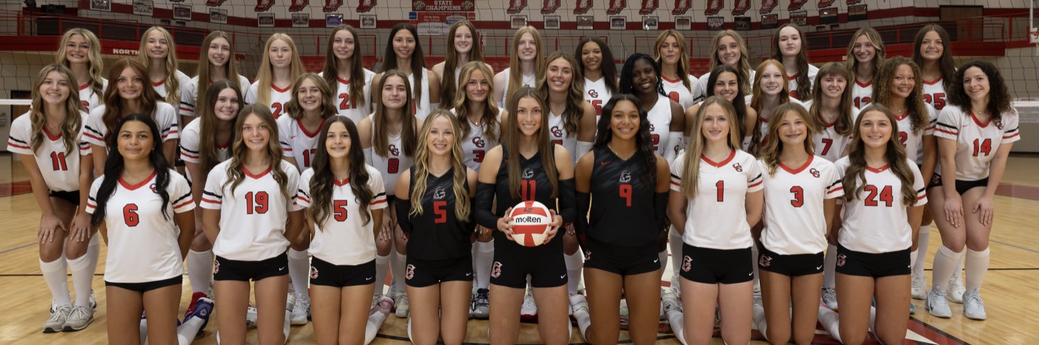 Center Grove Volleyball banner