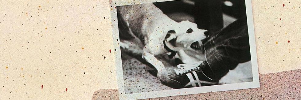 @tuskisbetter.bsky.social banner