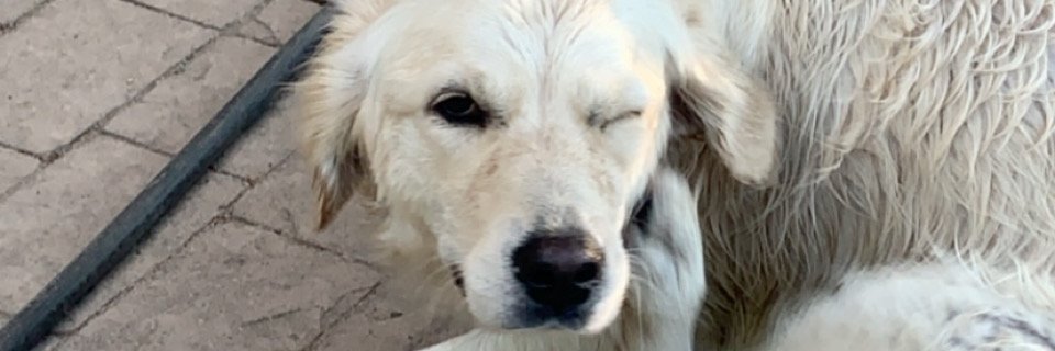 emmadgilmore's profile banner image