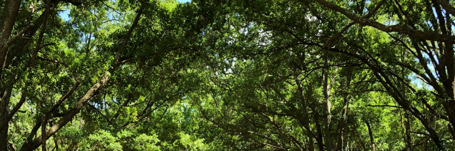 jensenhess's profile banner image