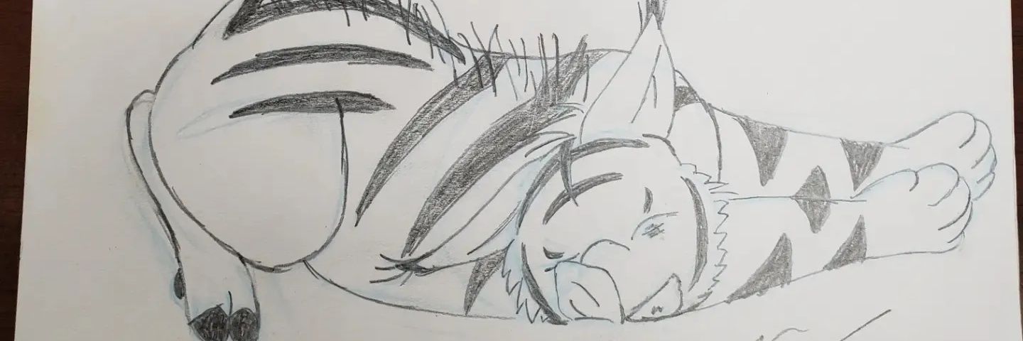 AnimeGarCat's profile banner image