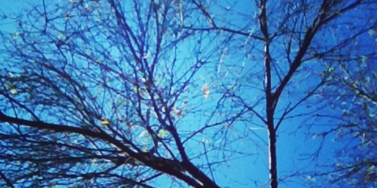 alexa_Chaverra's profile banner image