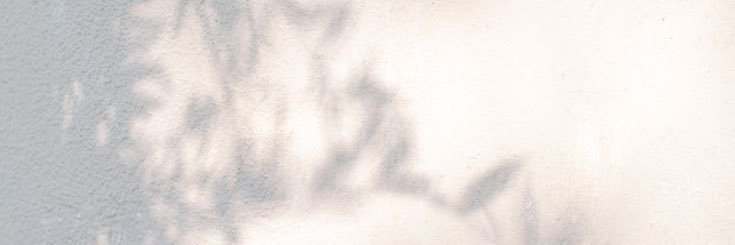 pameortegaa's profile banner image