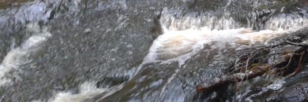 kcoutts1 Profile Banner