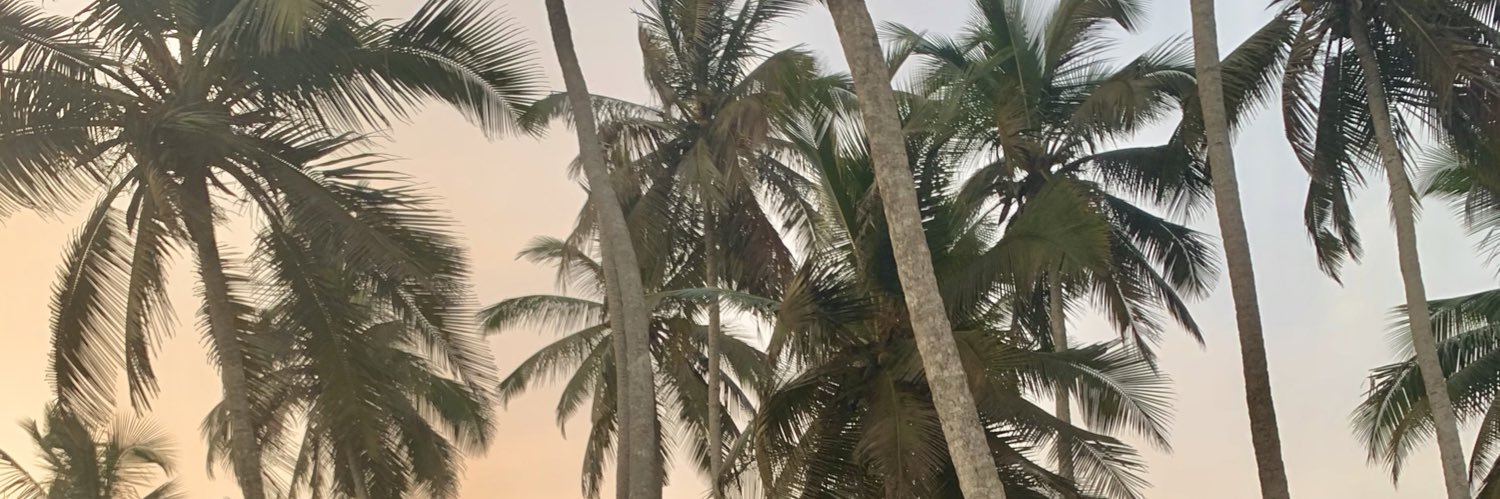 DSBAma's profile banner image