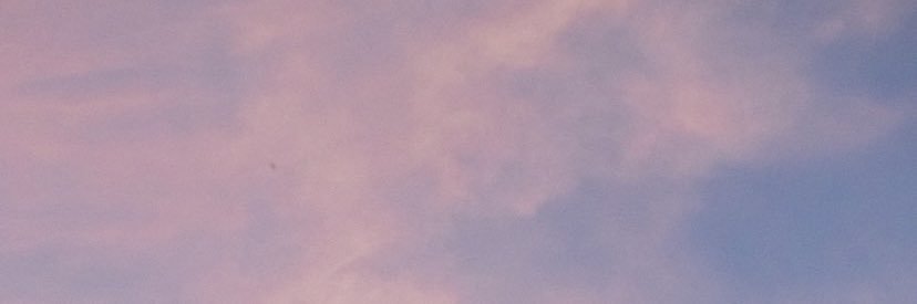 deenicolari's profile banner image