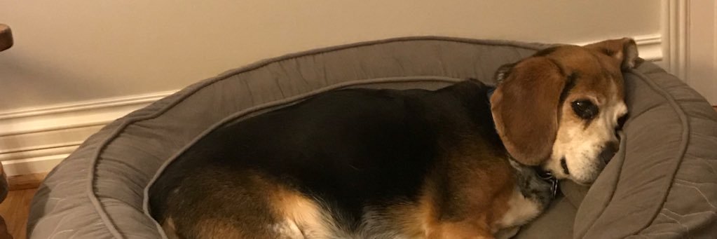 chaseandpeyton's profile banner image