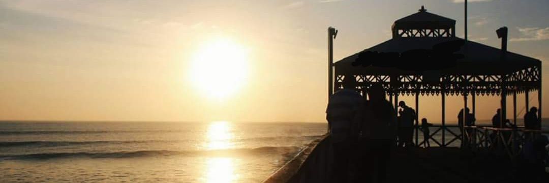 badani's profile banner image